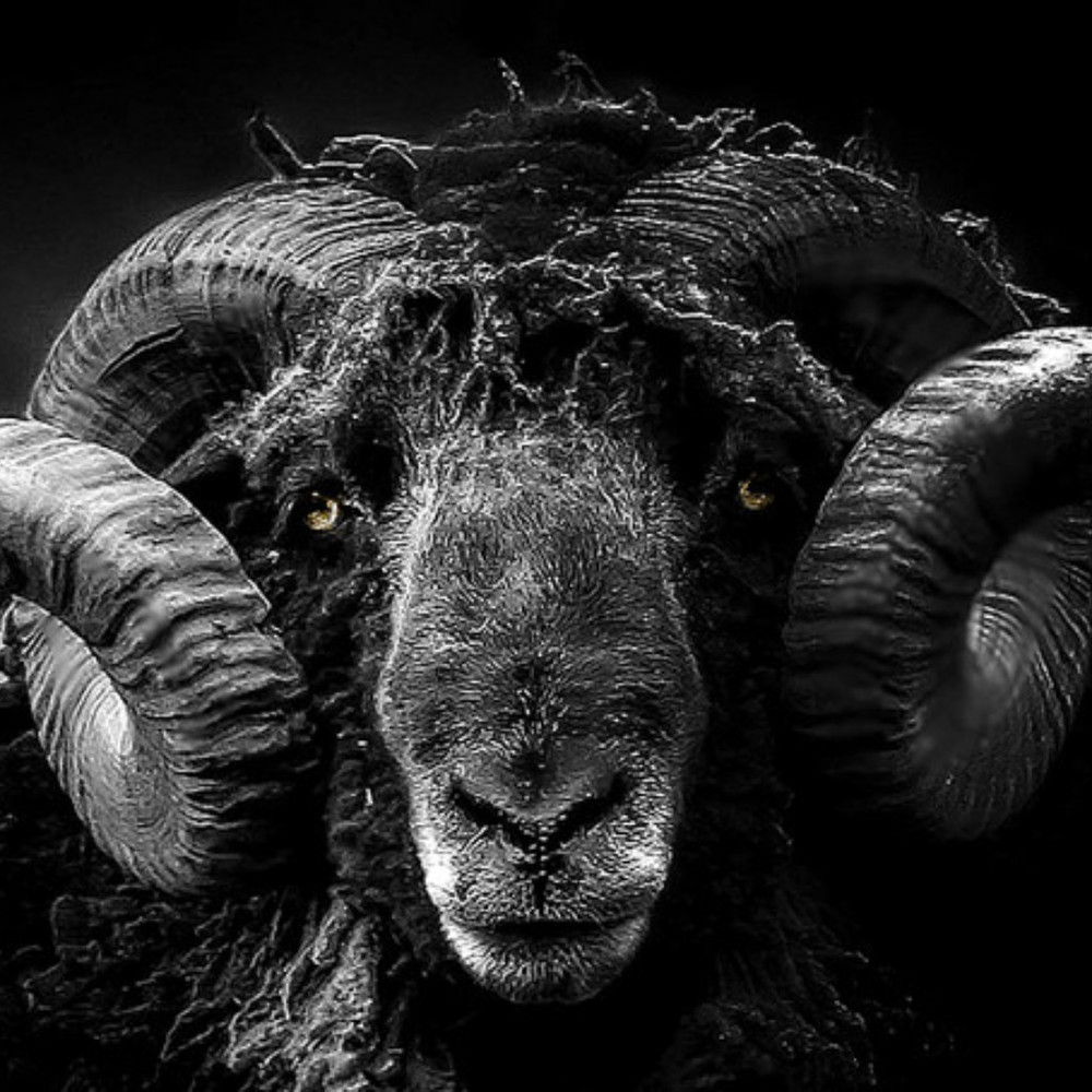 Meet your Posher, Posh